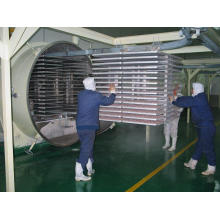 The Popular Modern Vacuum Freeze Drying Plant